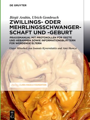 cover image of Schwangerschaft, Geburt und Wochenbett von Zwillingen und höhergradigen Mehrlingen